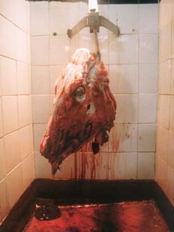 Anti-advertising shows its teeth